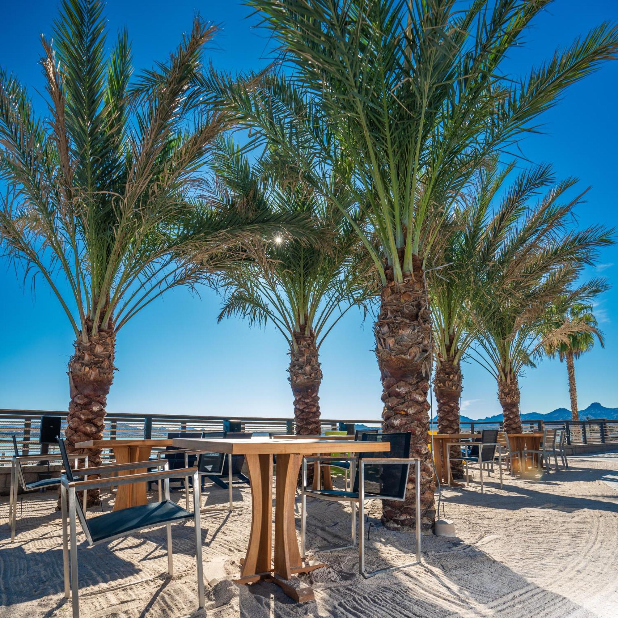 The Nautical Beachfront Resort Lake Havasu City Esterno foto