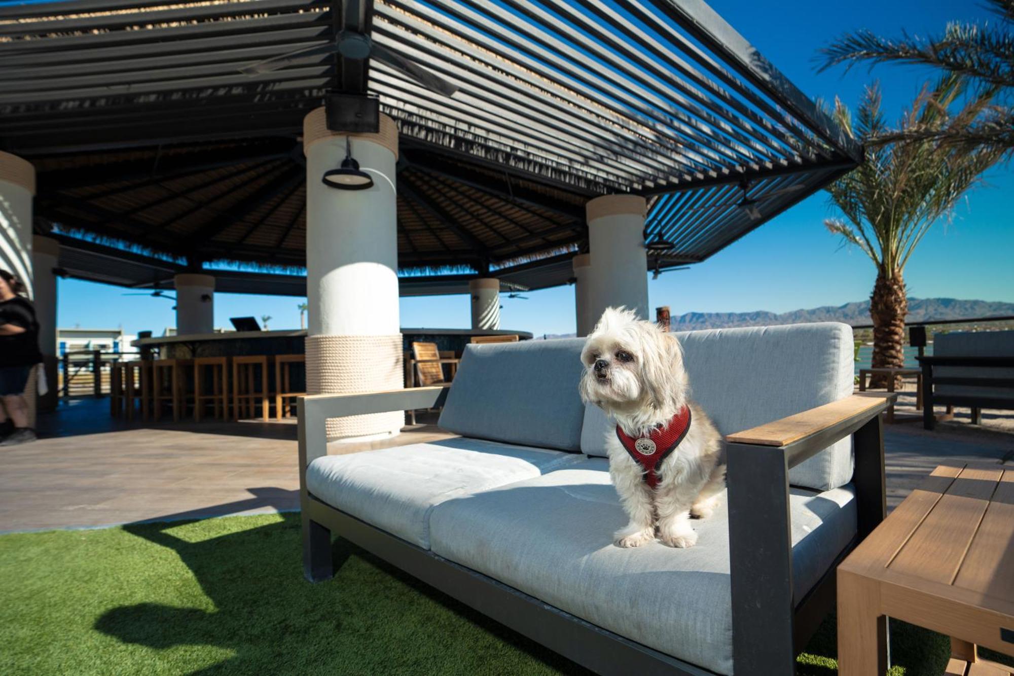 The Nautical Beachfront Resort Lake Havasu City Esterno foto